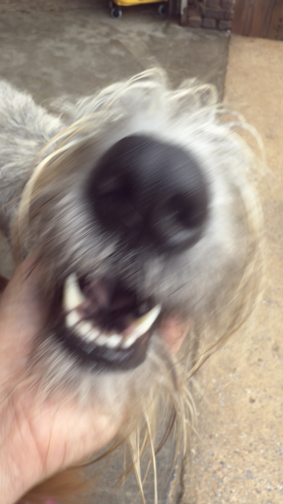 IMG_40011.jpeg