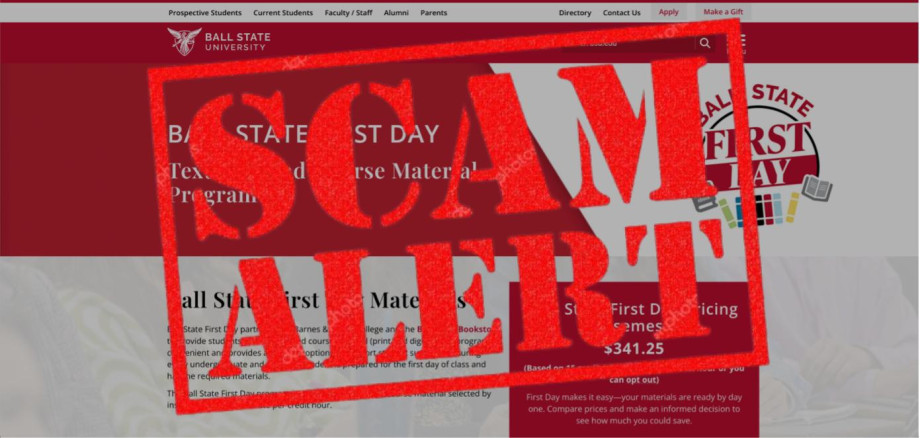 scam.jpg